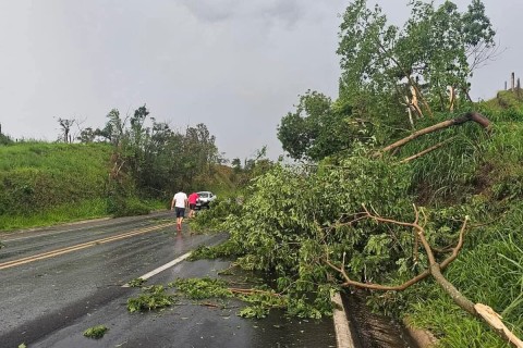 RAJADAS DE VENTOS | derruba árvores na MG-050, parte da pista precisou ficar interditada por algumas horas.
