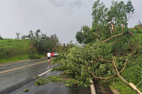 RAJADAS DE VENTOS | derruba árvores na MG-050, part